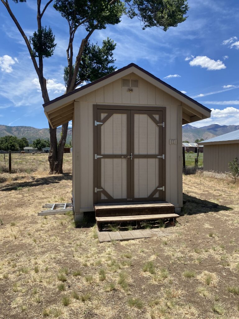 Shed Painting #2