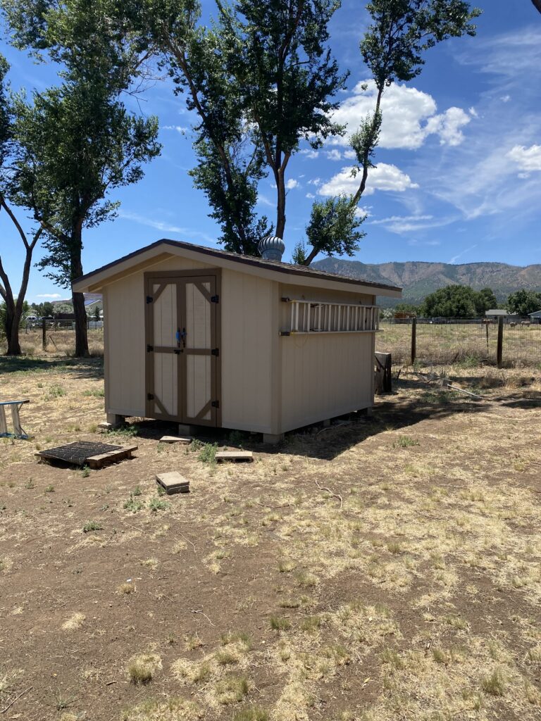 Shed Painting Example #1