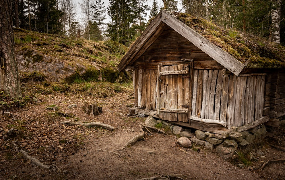 DIY vs. Professional Shed Painting