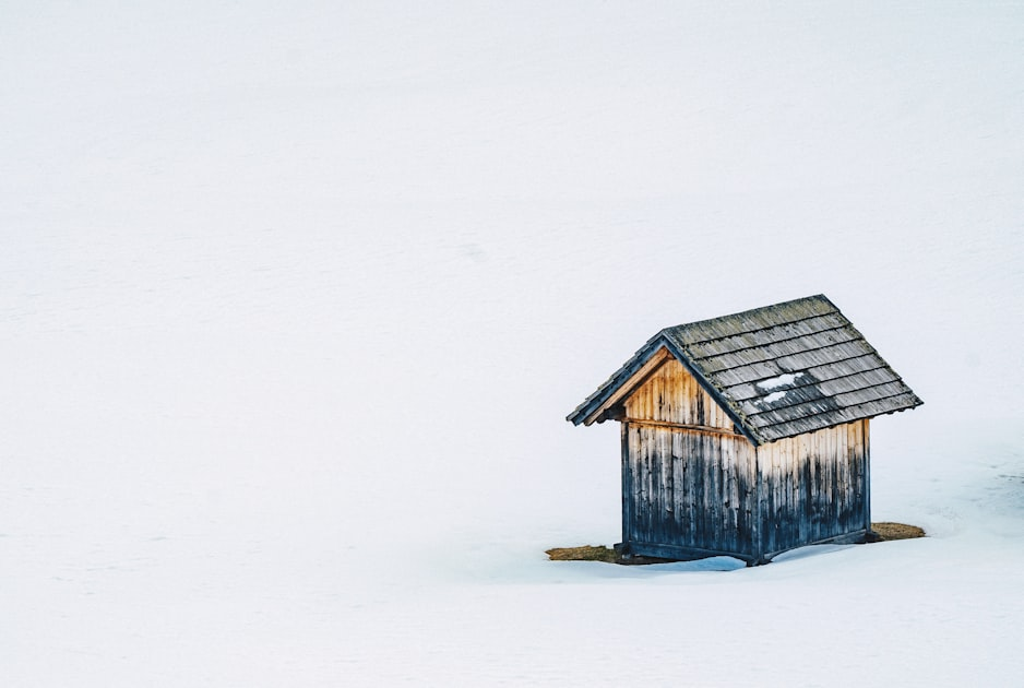 Shed Maintenance Tips for Longevity