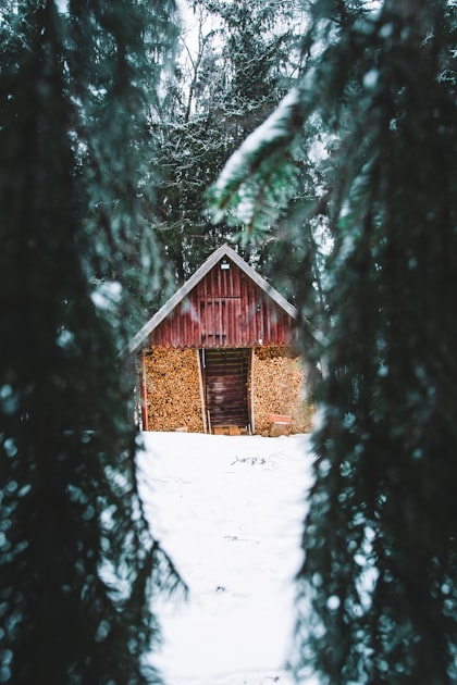 Understanding Shed Painting Costs